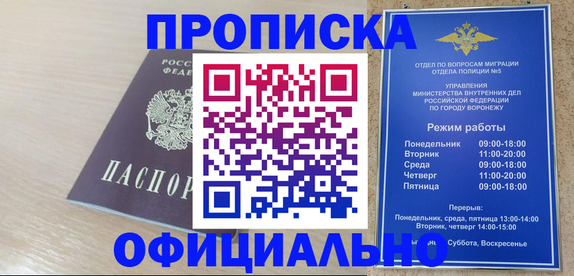 прописка в квартире в Завитинске